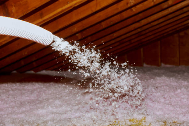 Best Residential Insulation in Lovington, NM