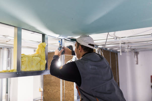 Best Insulation Maintenance and Repair in Lovington, NM